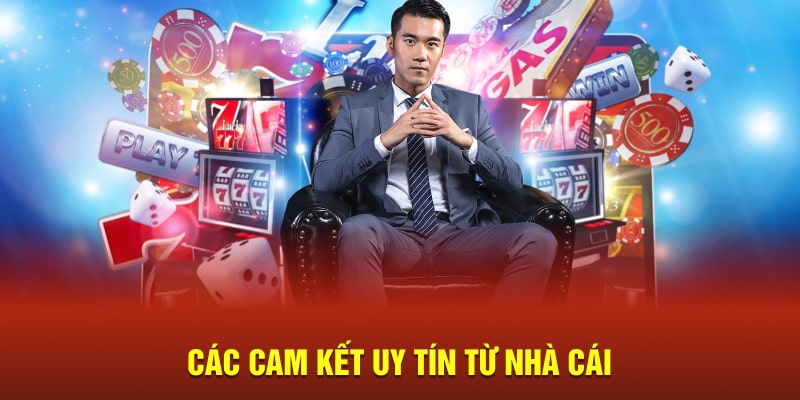 Các cam kết uy tín từ nhà cái 