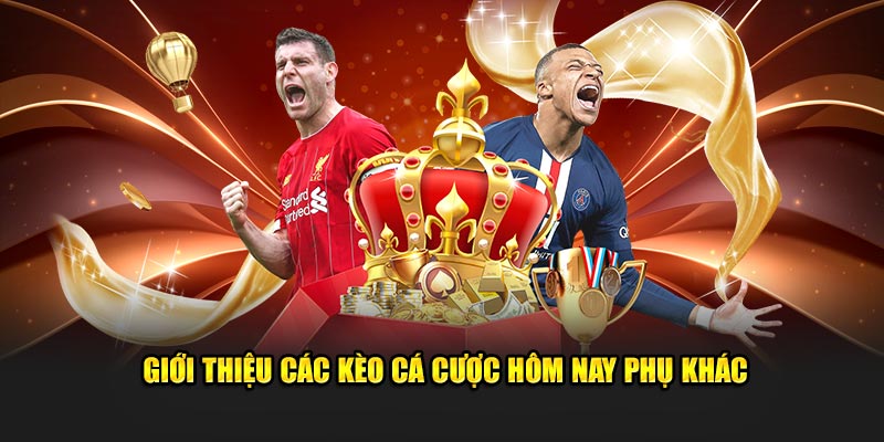 Giới thiệu các kèo cá cược hôm nay phụ khác